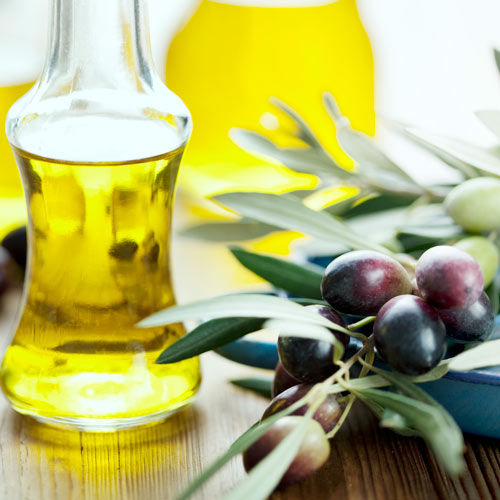 Olivovník Piqual obrázek 2 artikel 7965