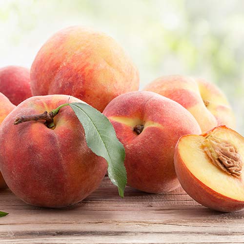 Broskvoň Suzee 699 artikel fotografie 1 Broskvoň Suzee 699 obrázek 1 artikel 4304