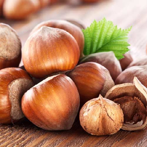 Líska Sozi obrázek 1 artikel 4283