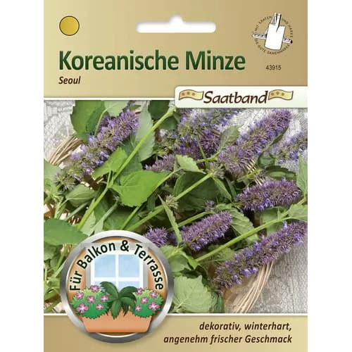 Agastache svraskalá Seoul obrázek 1 artikel 96480