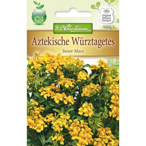 Aksamitník lesklý Sweet Mace obrázek 1 artikel 78942