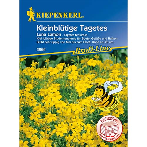 Aksamitník mexický Luna Lemon obrázek 1 artikel 86347