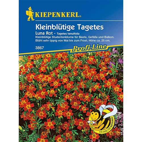 Aksamitník mexický Luna Rot obrázek 1 artikel 86349