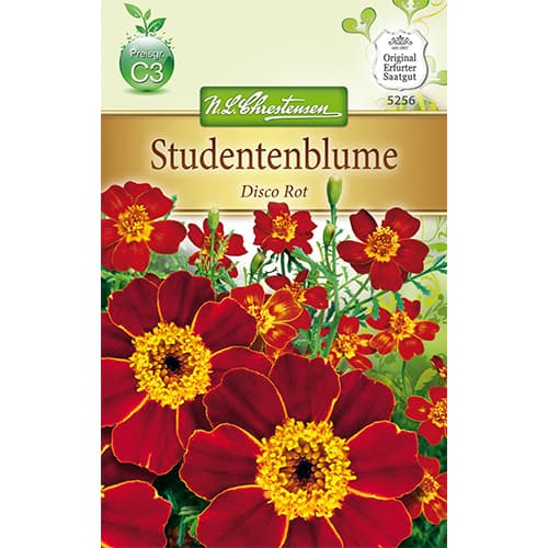 Aksamitník rozkladitý Disco Red obrázek 1 artikel 78745