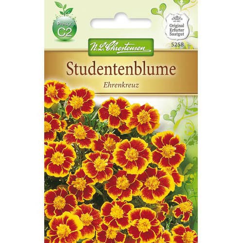 Aksamitník rozkladitý Ehrenkreuz obrázek 1 artikel 78939