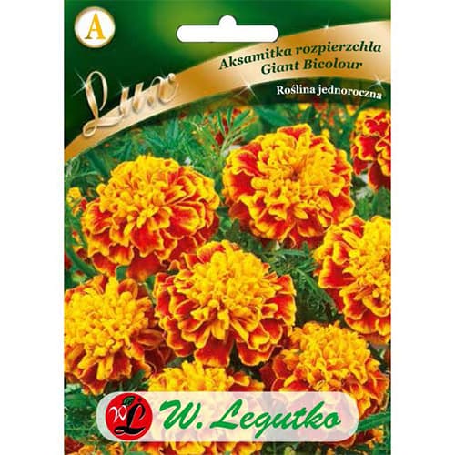 Aksamitník rozkladitý Giant Bicolour obrázek 1 artikel 78650