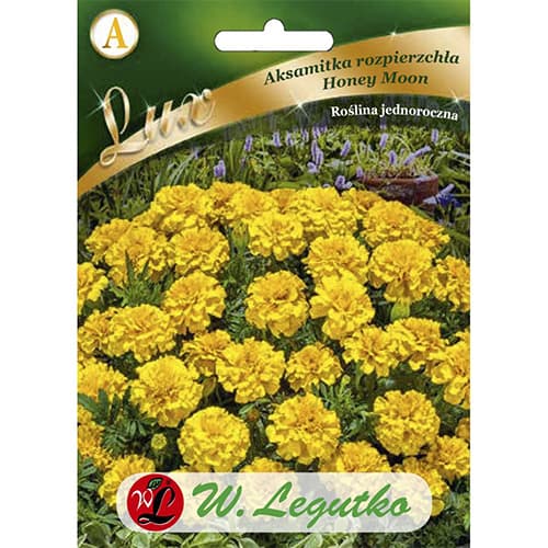 Aksamitník rozkladitý Honey Moon obrázek 1 artikel 86737