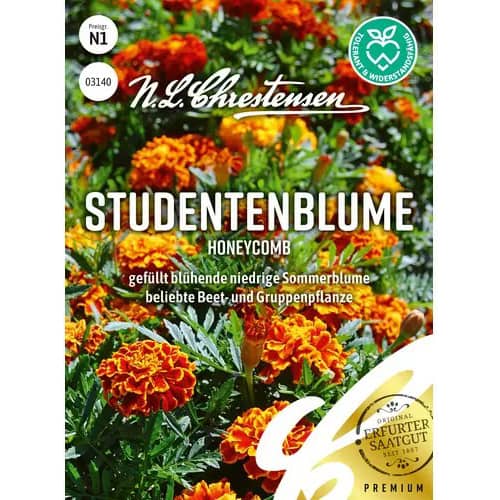 Aksamitník rozkladitý Honeycomb artikel fotografie 1 Aksamitník rozkladitý Honeycomb obrázek 1 artikel 96455