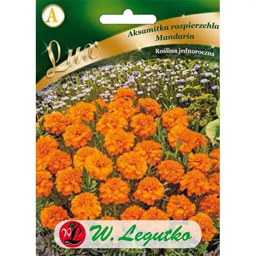 Aksamitník rozkladitý Mandarin obrázek 1 artikel 86738