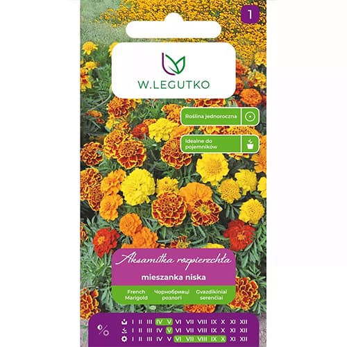 Aksamitník rozkladitý, směs obrázek 1 artikel 69551