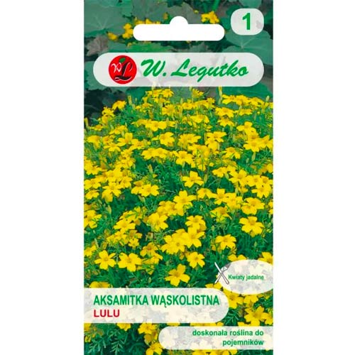 Aksamitník úzkolistý Lulu obrázek 1 artikel 78508