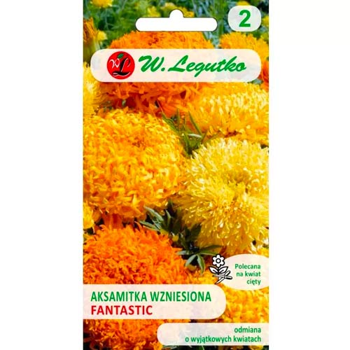 Aksamitník vzpřímený trpasličí Fantastic, směs obrázek 1 artikel 69554