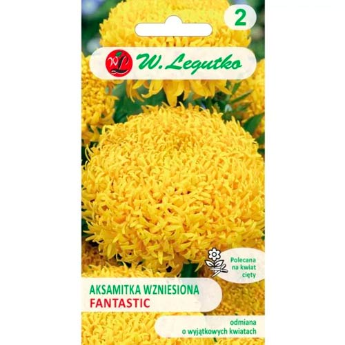 Aksamitník vzpřímený trpasličí Fantastic žlutý obrázek 1 artikel 96692