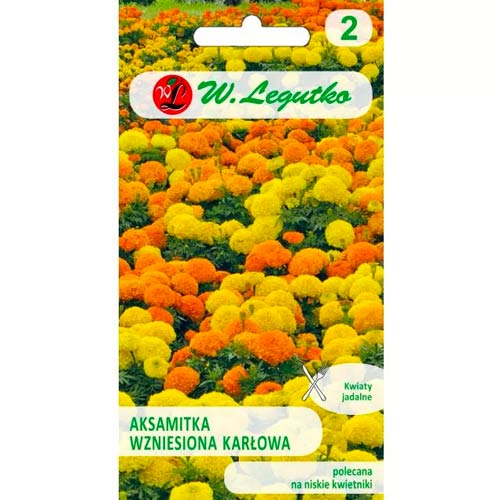 Aksamitník vzpřímený trpasličí karłowa, směs obrázek 1 artikel 50081