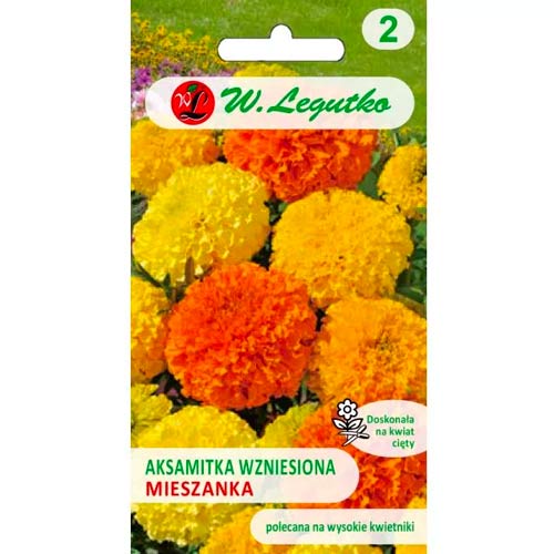 Aksamitník vzpřímený trpasličí wysoka, směs obrázek 1 artikel 50082