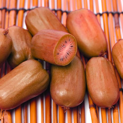 Aktinidie čínská Ken's Red, P9 obrázek 1 artikel 9240