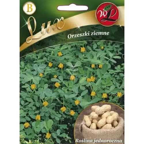 Arašídy artikel fotografie 1 Arašídy obrázek 1 artikel 78667