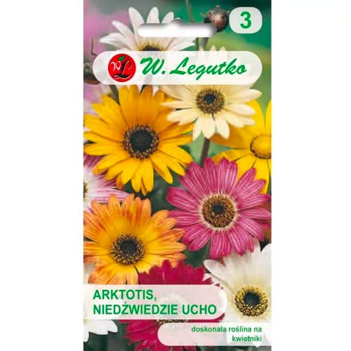 Arktotis (medvědí ucho), směs obrázek 1 artikel 69555