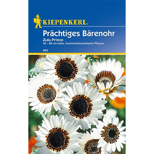 Arktotis Zulu Prince artikel fotografie 1 Arktotis Zulu Prince obrázek 1 artikel 77423