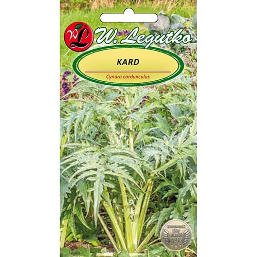 Artyčok španělský Bianco avorio artikel fotografie 1 Artyčok španělský Bianco avorio obrázek 1 artikel 96809