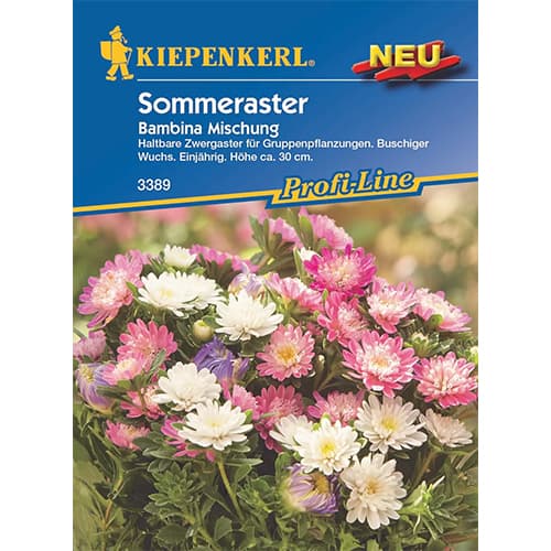 Astra čínská Bambina, směs obrázek 1 artikel 87764