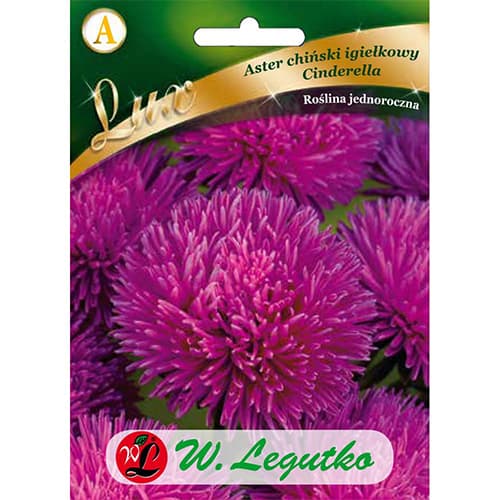 Astra čínská jehlicovitá Cinderella obrázek 1 artikel 86742