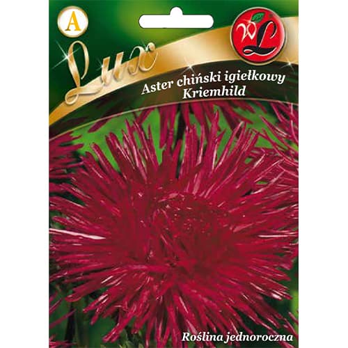 Astra čínská jehlicovitá Kriemhild obrázek 1 artikel 86743