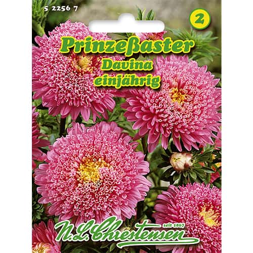 Astra čínská knížecí Davina artikel fotografie 1 Astra čínská knížecí Davina obrázek 1 artikel 86138