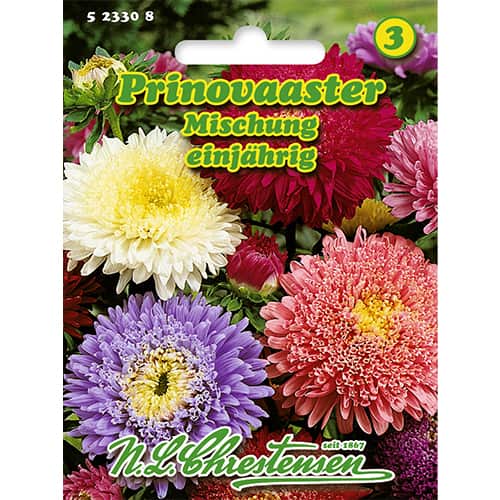 Astra čínská knížecí velkokvětá, směs obrázek 1 artikel 86137