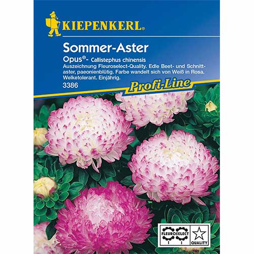 Astra čínská pivoňková Opus artikel fotografie 1 Astra čínská pivoňková Opus obrázek 1 artikel 96572