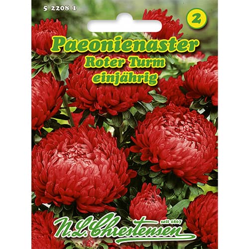 Astra čínská pivoňková Roter Turm obrázek 1 artikel 86136