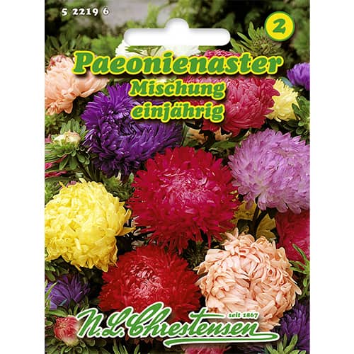 Astra čínská pivoňková, směs druhů obrázek 1 artikel 86135