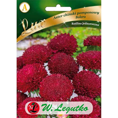 Astra čínská pomponkovitá Bolero obrázek 1 artikel 86744