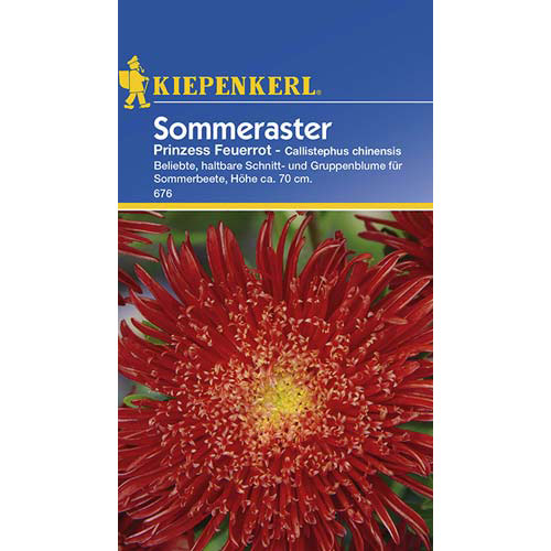 Astra čínská Prinzess, červená artikel fotografie 1 Astra čínská Prinzess, červená obrázek 1 artikel 77430