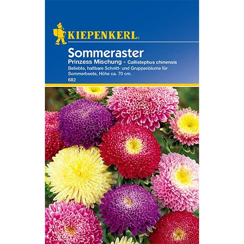 Astra čínská Prinzess, směs obrázek 1 artikel 86316