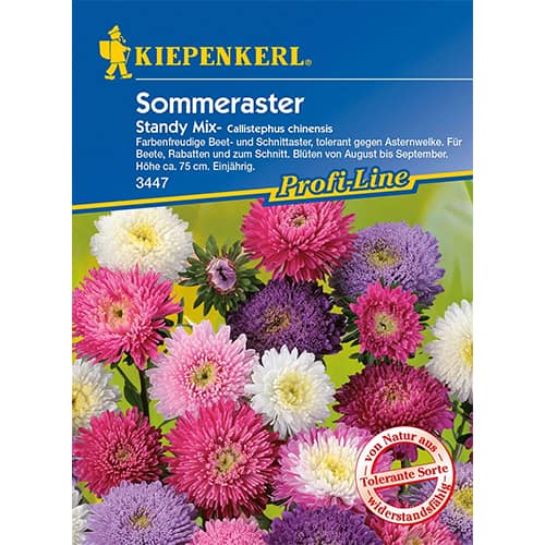 Astra čínská Standy, směs obrázek 1 artikel 96573