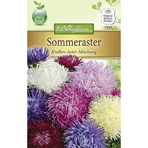 Astra pomponová, směs artikel fotografie 1 Astra pomponová, směs obrázek 1 artikel 87804