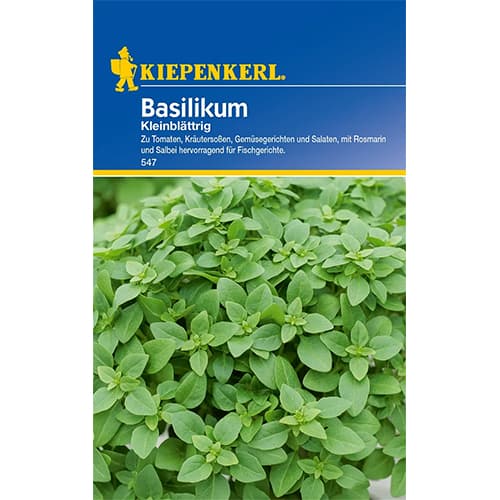 Bazalka drobnolistá obrázek 1 artikel 77456