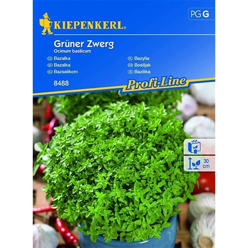 Bazalka Grüner Zwerg obrázek 1 artikel 86379