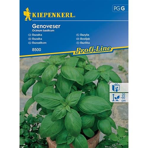 Bazalka listnatá obrázek 1 artikel 96592