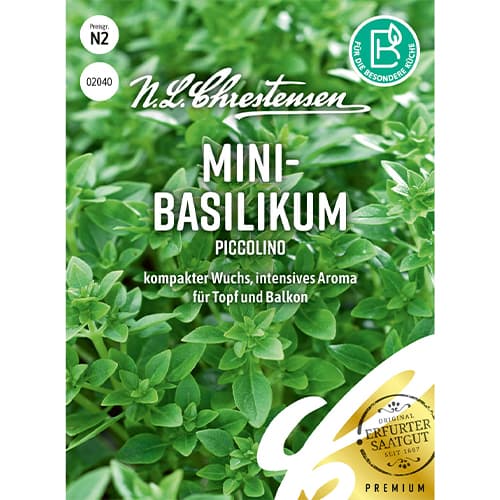 Bazalka miniaturní Piccolino obrázek 1 artikel 86011