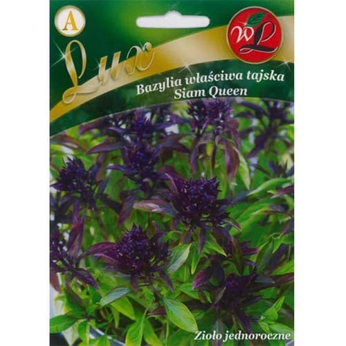 Bazalka pravá thajská Thai Siam Queen obrázek 1 artikel 86840