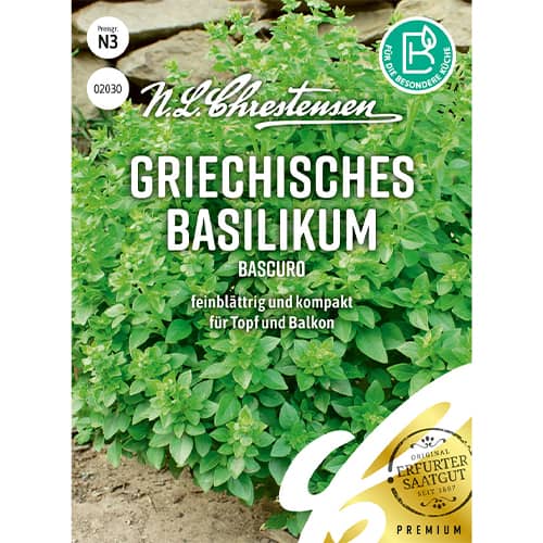 Bazalka řecká Bascuro obrázek 1 artikel 86005