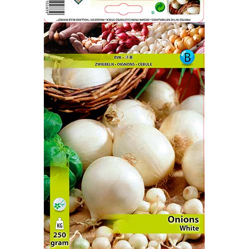 Bílá cibule obrázek 1 artikel 70497