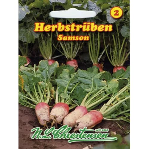 Brukev řepák Samson obrázek 1 artikel 96476