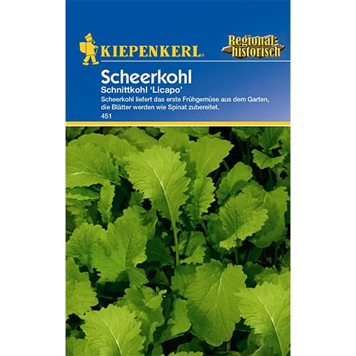 Brukev řepka Licapo obrázek 1 artikel 77504