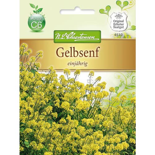 Brukev řepka obrázek 1 artikel 78877