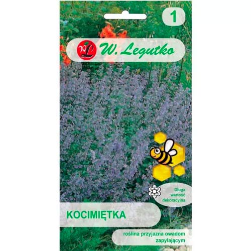 Catnip modrofialová obrázek 1 artikel 96716