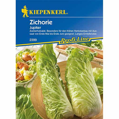 Čekanka Jupiter F1 artikel fotografie 1 Čekanka Jupiter F1 obrázek 1 artikel 96686