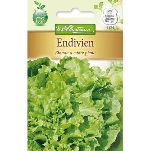 Čekanka listová Bionda a cuore pieno obrázek 1 artikel 78763